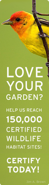 Certify your yard today!